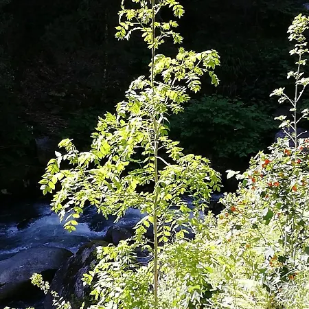 Campismo Rural Vale Dos Moinhos * Geres
