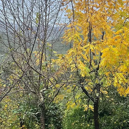 אתר קמפינג Campismo Rural Vale Dos Moinhos ג'רס
