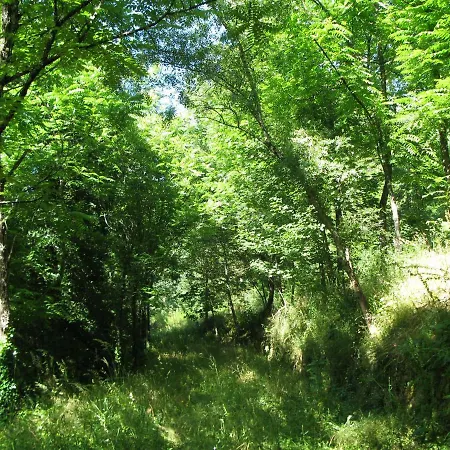 Kemp Campismo Rural Vale Dos Moinhos