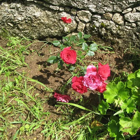 Campismo Rural Vale Dos Moinhos Campeggio *