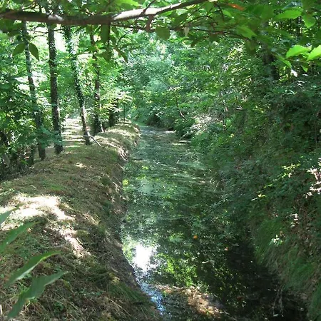 Campismo Rural Vale Dos Moinhos Campeggio *