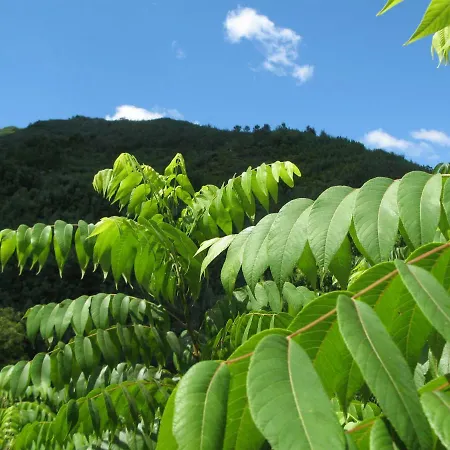 Campismo Rural Vale Dos Moinhos