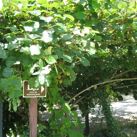 Campeggio Campismo Rural Vale Dos Moinhos Geres