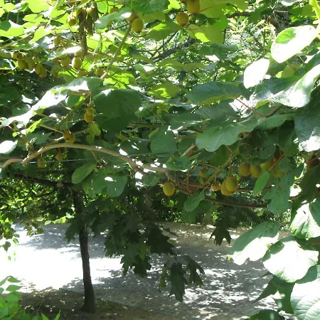 Campismo Rural Vale Dos Moinhos Campingplatz