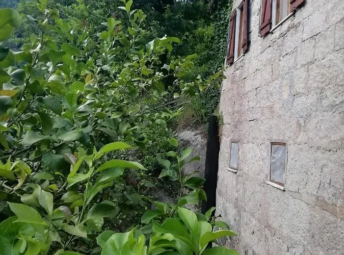 Campismo Rural Vale Dos Moinhos * Geres