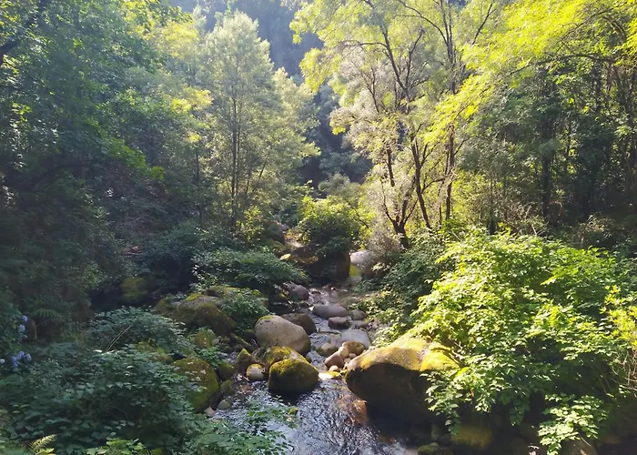 キャンプ場 Campismo Rural Vale Dos Moinhos ジェレス