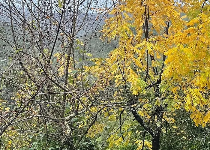 营地 Campismo Rural Vale Dos Moinhos 吉尔斯