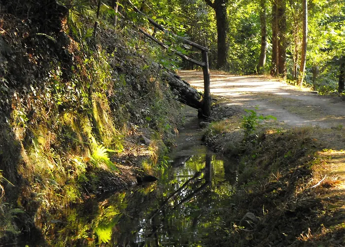 Campismo Rural Vale Dos Moinhos Kamp alanı
