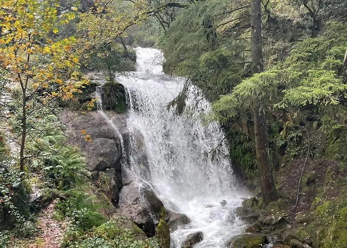Campismo Rural Vale Dos Moinhos ジェレス