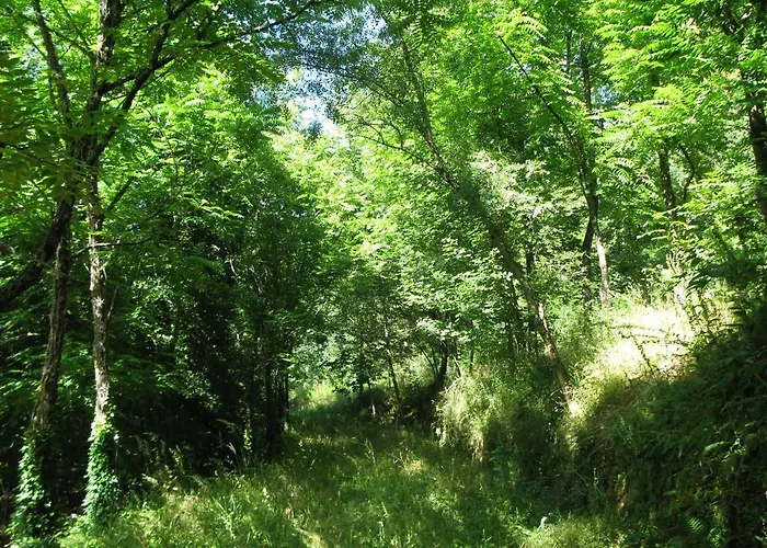 Kamp alanı Campismo Rural Vale Dos Moinhos