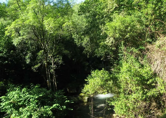 Campismo Rural Vale Dos Moinhos