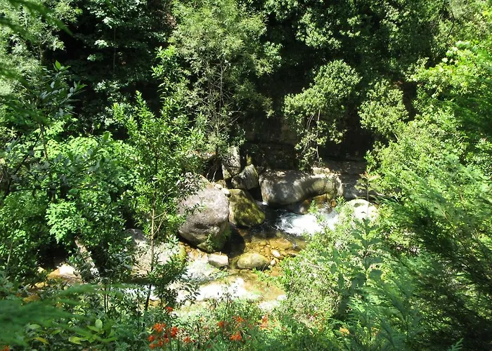 Kamp alanı Campismo Rural Vale Dos Moinhos