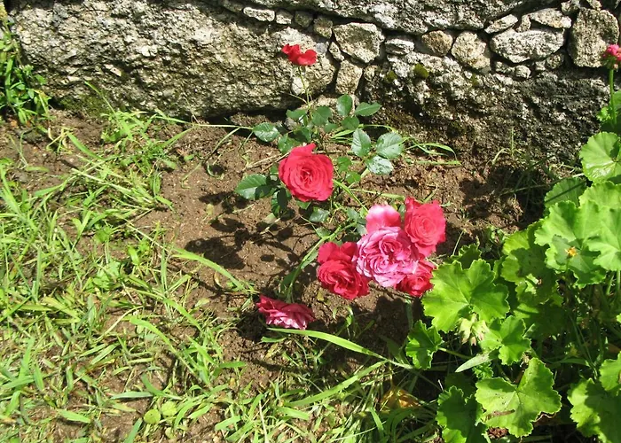 Campismo Rural Vale Dos Moinhos 캠프장 *