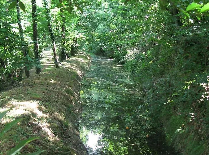 Campismo Rural Vale Dos Moinhos Kamp alanı *