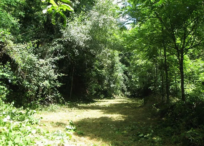 Campismo Rural Vale Dos Moinhos ジェレス