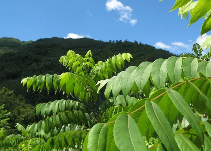 Campismo Rural Vale Dos Moinhos