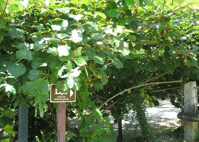 キャンプ場 Campismo Rural Vale Dos Moinhos ジェレス