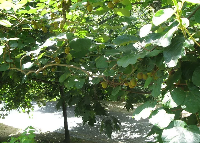 Campismo Rural Vale Dos Moinhos 캠프장